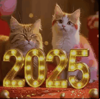 Video Converter Ultimate_20260102081200.gif