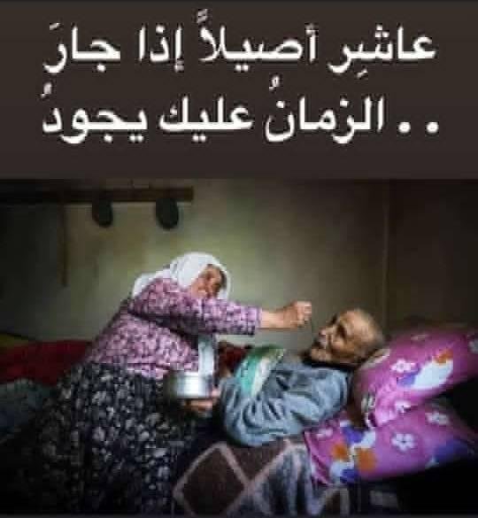 122455771_116511490235809_4534740603807659525_n.jpg 122455771_116511490235809_4534740603807659525_n.jpg