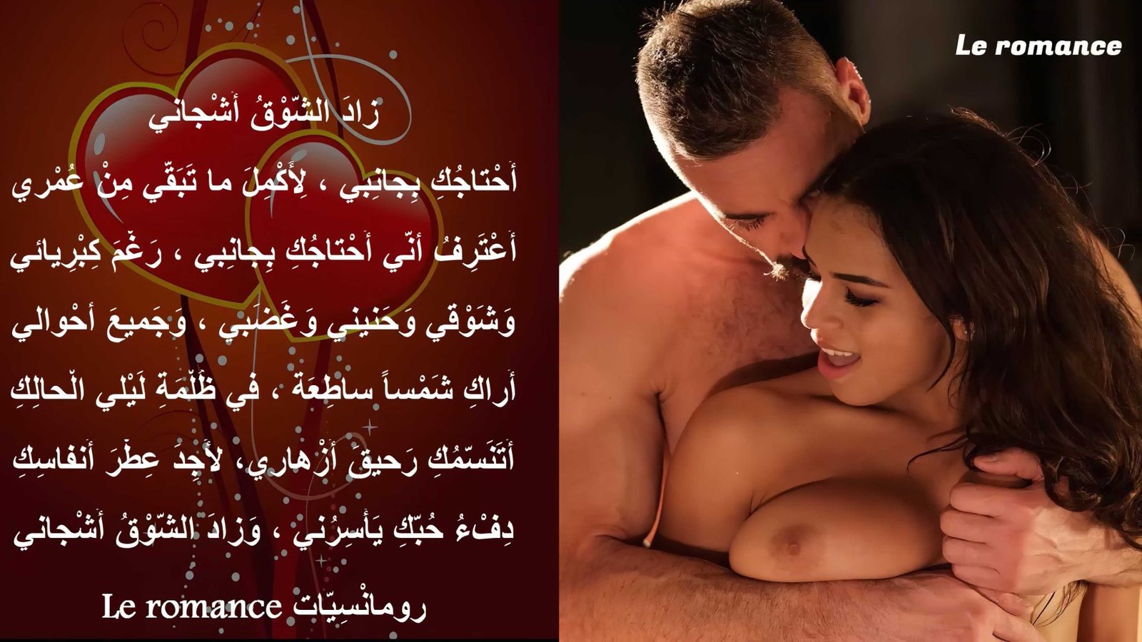 زاد.jpg زاد.jpg