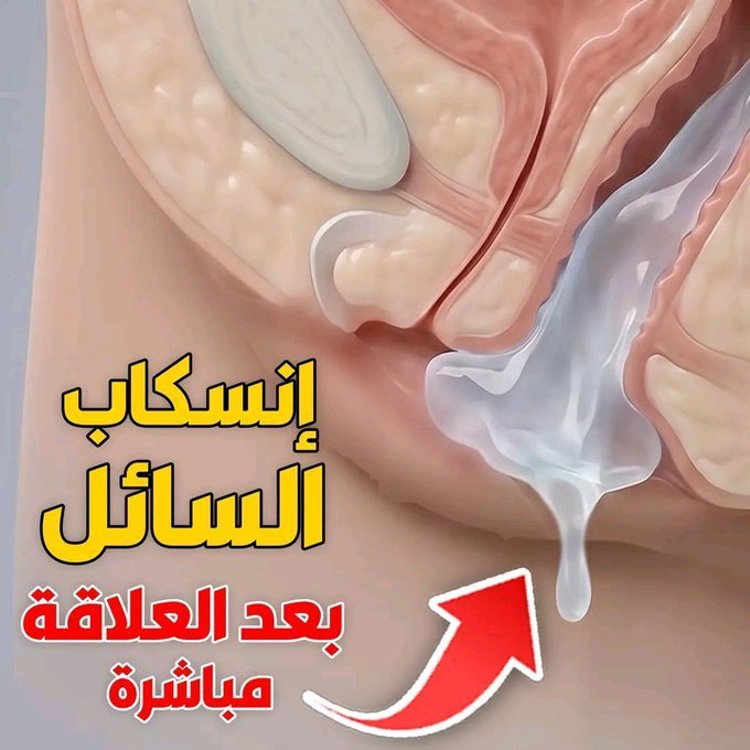 HJbHQ3taMAASywL.jpg HJbHQ3taMAASywL.jpg