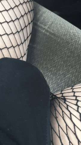 Shemale Porn Gifs